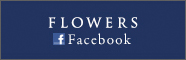 FLOWERS FaceBook